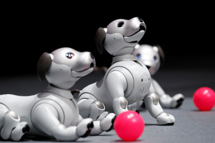 Sony Aibo robot dog